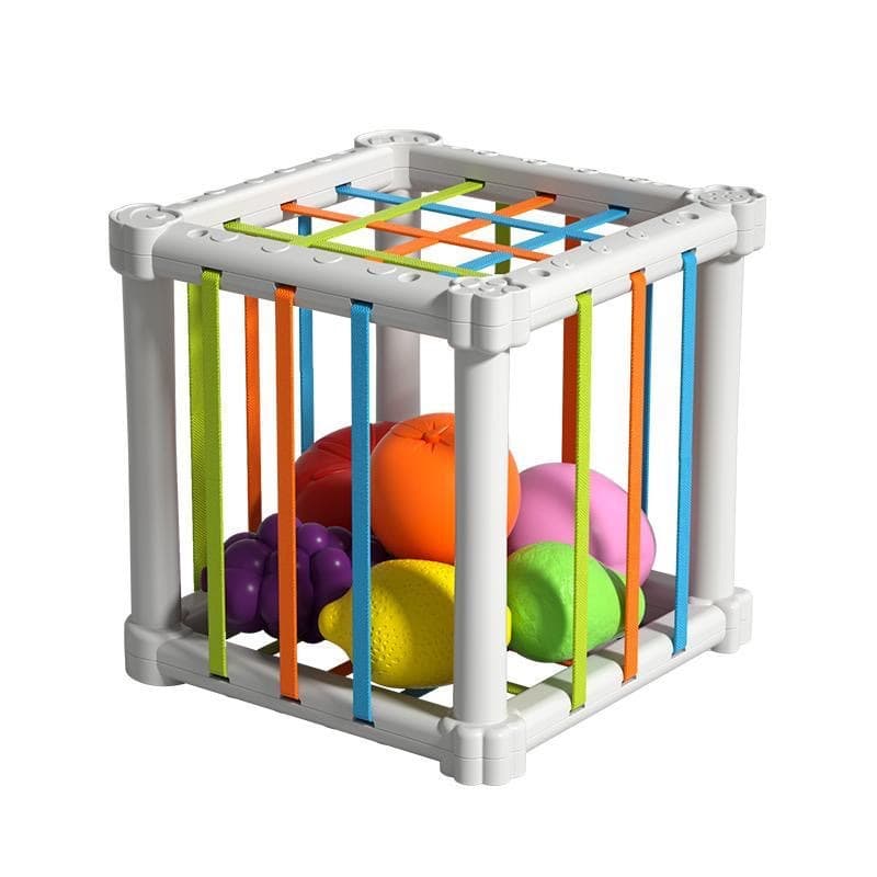 Fruit Rainbow Cesele Toy Shape Color Cognition Hand Movement Training Infant and Toddler Early Education Enlightenment Toy 6
