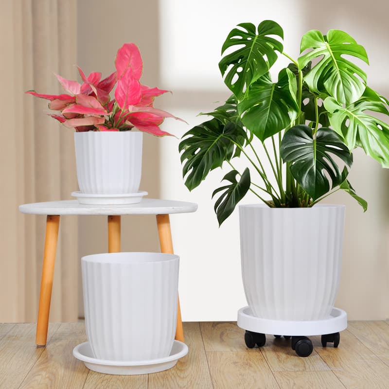 Flower pots for home large indoor living room simple plastic pots bird of paradise large diameter flower pots light luxury and high-end 4
