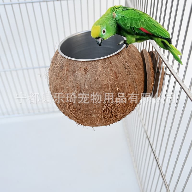 Cross-border parrot bird food cup, coconut shell, stainless steel food bowl, bird's nest, dual-purpose toy, bird cage, molar accessories manufacturer 2