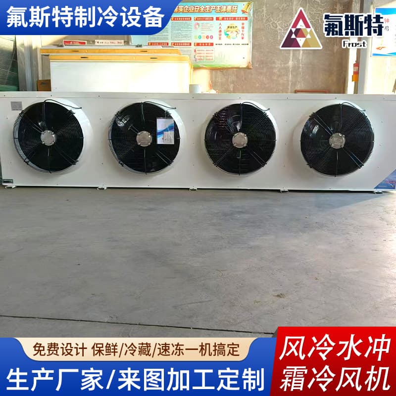 Air-cooled water frost cooler, quick-freezing cold storage, dedicated ceiling-mounted air cooler, air-cooled air cooler 4