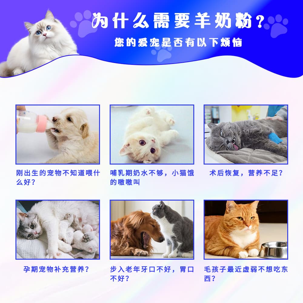 Pet goat milk powder, dog-specific milk powder, high-content pure goat milk powder to supplement nutrition and calcium, pet formula milk powder 4