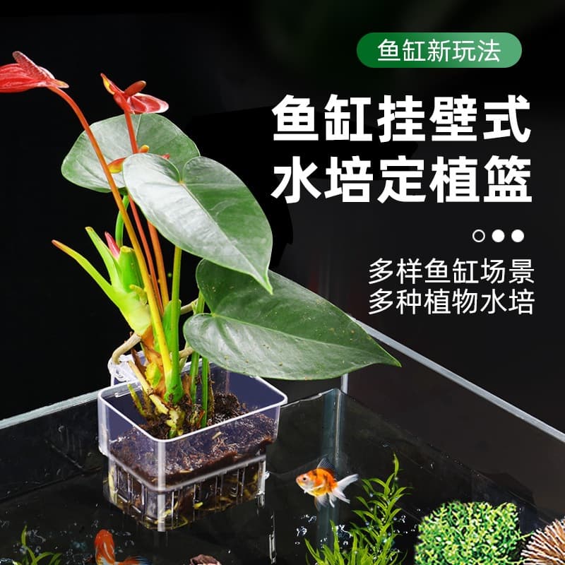 Green radish planting cup, water grass cup, water grass, hydroponic emergent plant, hanging planting basket, fish tank decoration and landscaping accessories 2