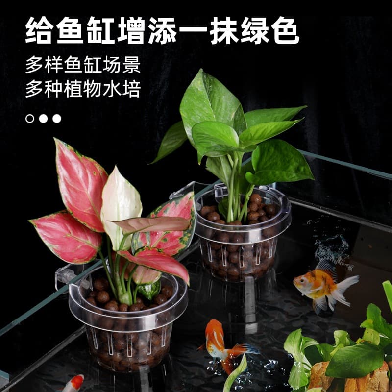 Green radish planting cup, water grass cup, water grass, hydroponic emergent plant, hanging planting basket, fish tank decoration and landscaping accessories 3