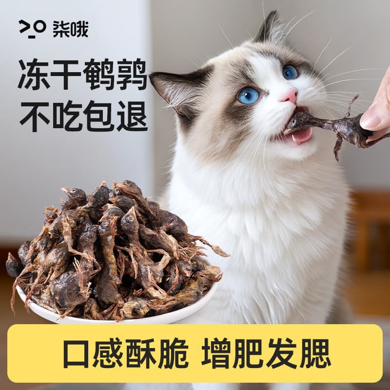Quail freeze-dried cat snacks, cat snacks for weight gain, cheek growth, teeth grinding, calcium supplement, pet dog, adult cat food 2