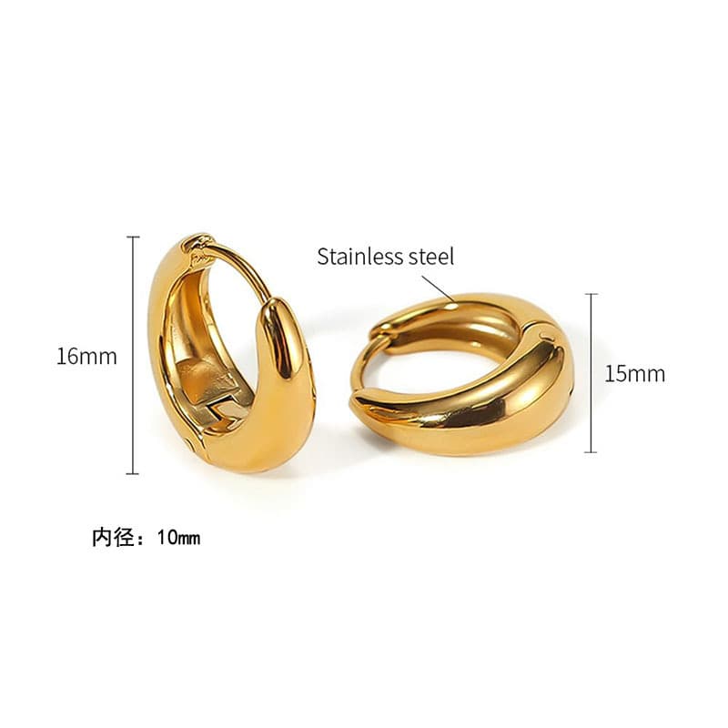 Cross-border European and American earrings, fashionable stainless steel earrings, high-end temperament, versatile, niche and personalized design earrings 5