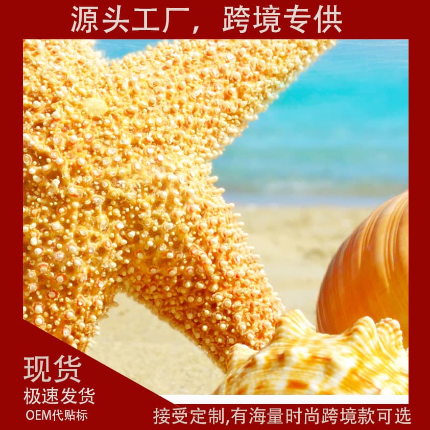 Hot selling starfish floor mat diatom mud kitchen bathroom water absorbent bathroom door non-slip foot mat diatom mud floor mat 3