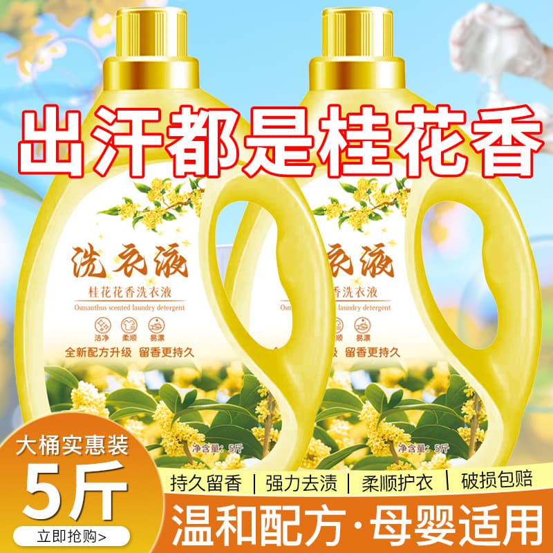 Osmanthus fragrance laundry detergent household genuine official long-lasting fragrance enzyme sterilization and stain removal affordable full box batch