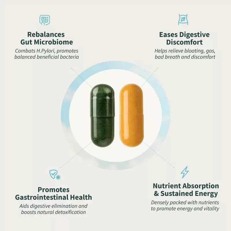 Spot TK Hot Selling Intestinal Health & Spirulina & Spirulina Natural Supplement Set Prebiotic Dietary Supplement 4