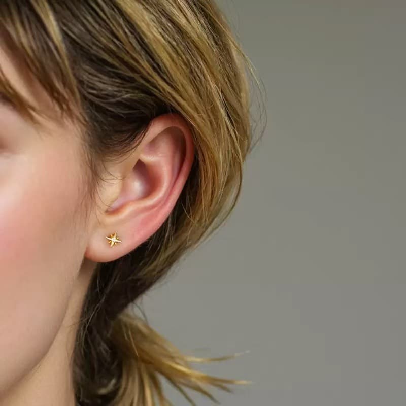 Exquisite and fashionable eight-pointed star earrings, fashionable, simple, niche design, versatile, daily wear earrings for women 3