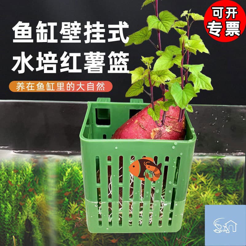 Fish tank hydroponic planting basket wall-mounted aquatic grass cup water emergent plant planting basket fish tank landscaping decorative accessories 2