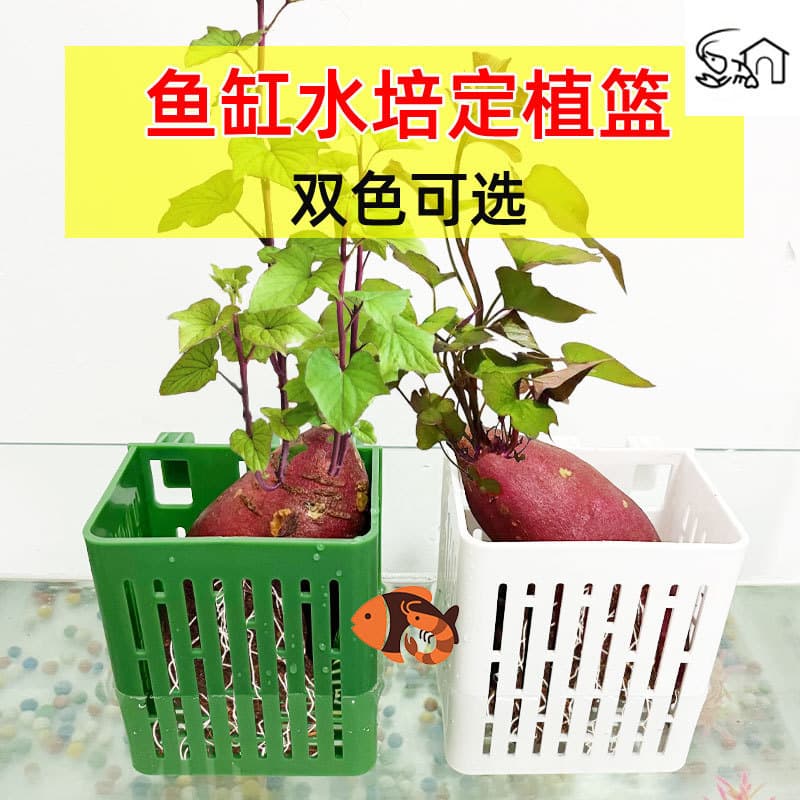 Fish tank hydroponic planting basket wall-mounted aquatic grass cup water emergent plant planting basket fish tank landscaping decorative accessories 3