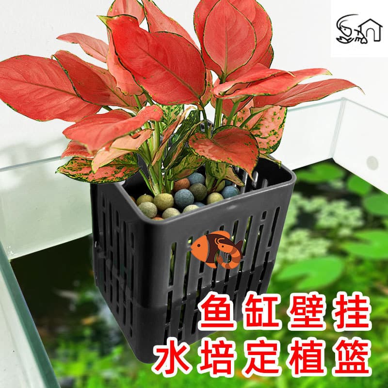 Fish tank hydroponic planting basket wall-mounted aquatic grass cup water emergent plant planting basket fish tank landscaping decorative accessories 4