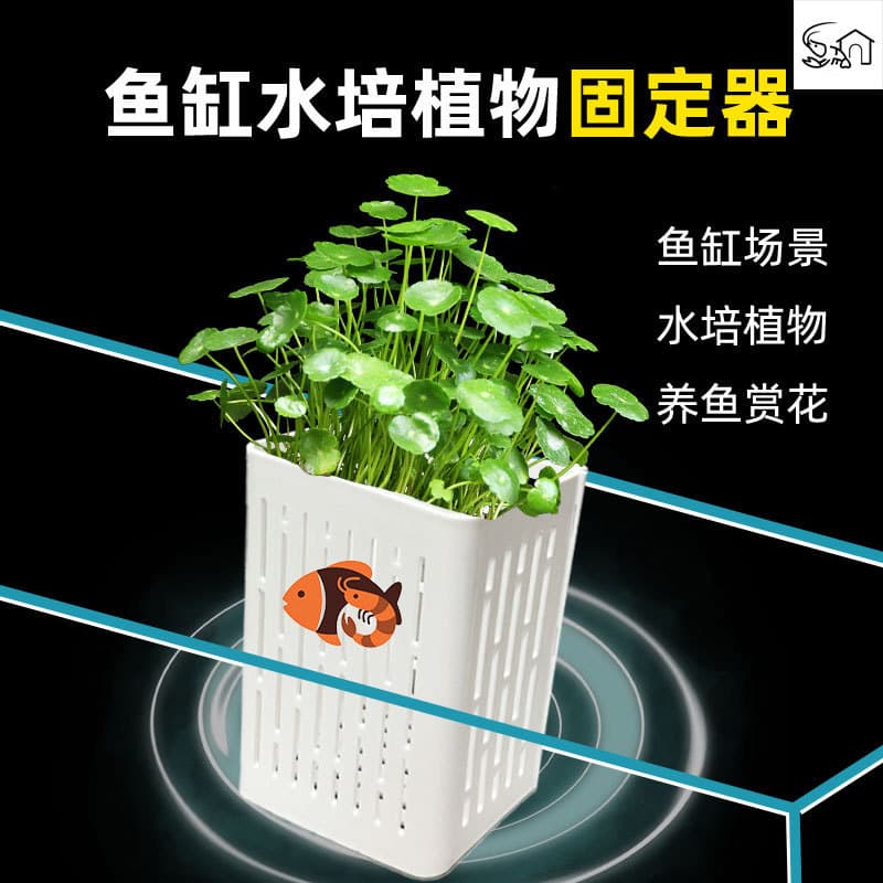 Fish tank hydroponic planting basket wall-mounted aquatic grass cup water emergent plant planting basket fish tank landscaping decorative accessories 5