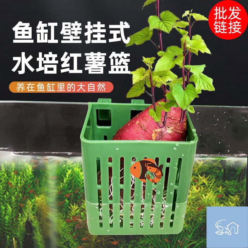 Fish tank hydroponic planting basket wall-mounted aquatic grass cup water emergent plant planting basket fish tank landscaping decorative accessories 7