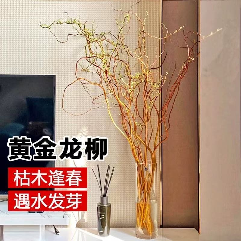 Golden dragon willow fresh branches hydroponic plants are easy to feed indoor green plants, high-end living room, prosperous house, real flowers take root when exposed to water 1