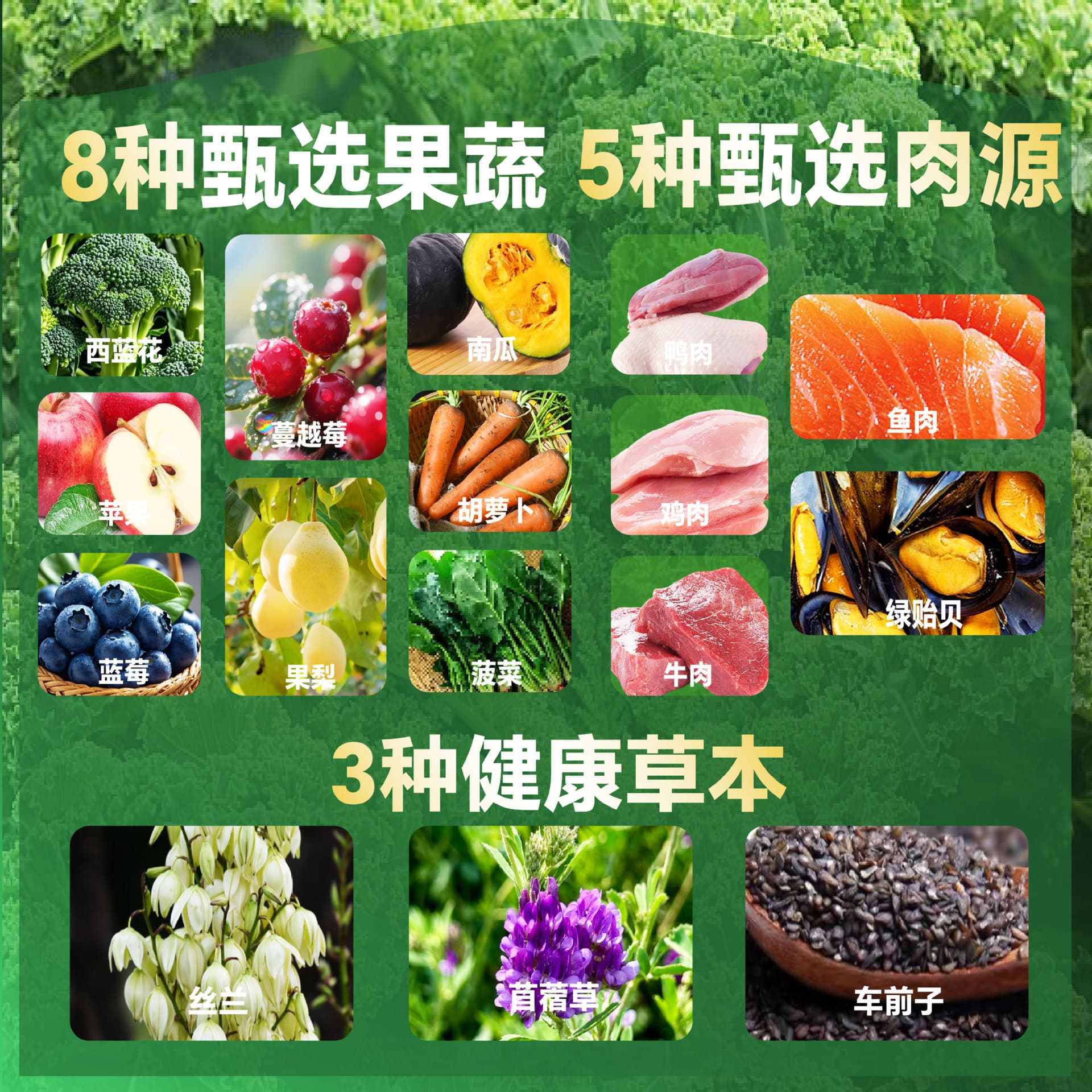 Duck pear freeze-dried dog food into puppy food general purpose Teddy Bichon Golden Retriever small grain dog food 4
