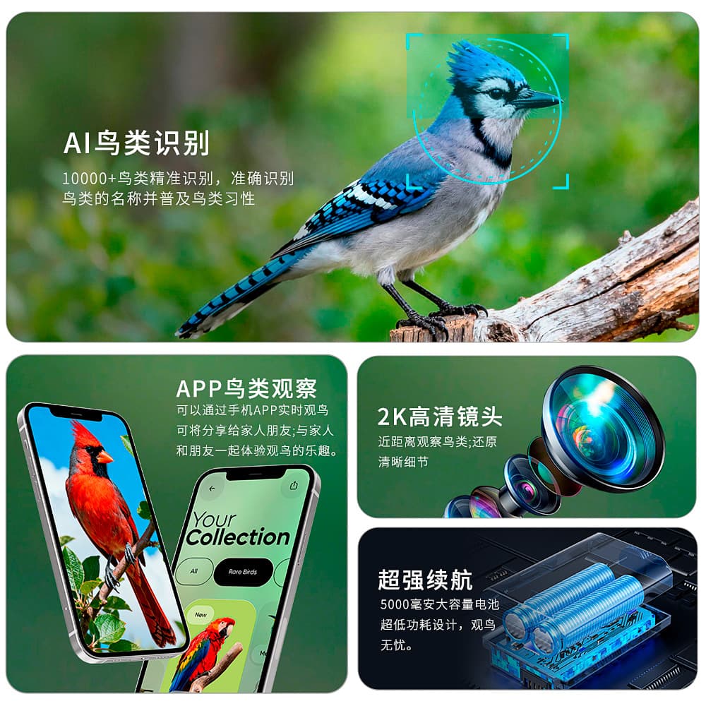 New smart bird feeder camera 2K-4K ultra-clear AI bird recognition outdoor solar pet feeder 2