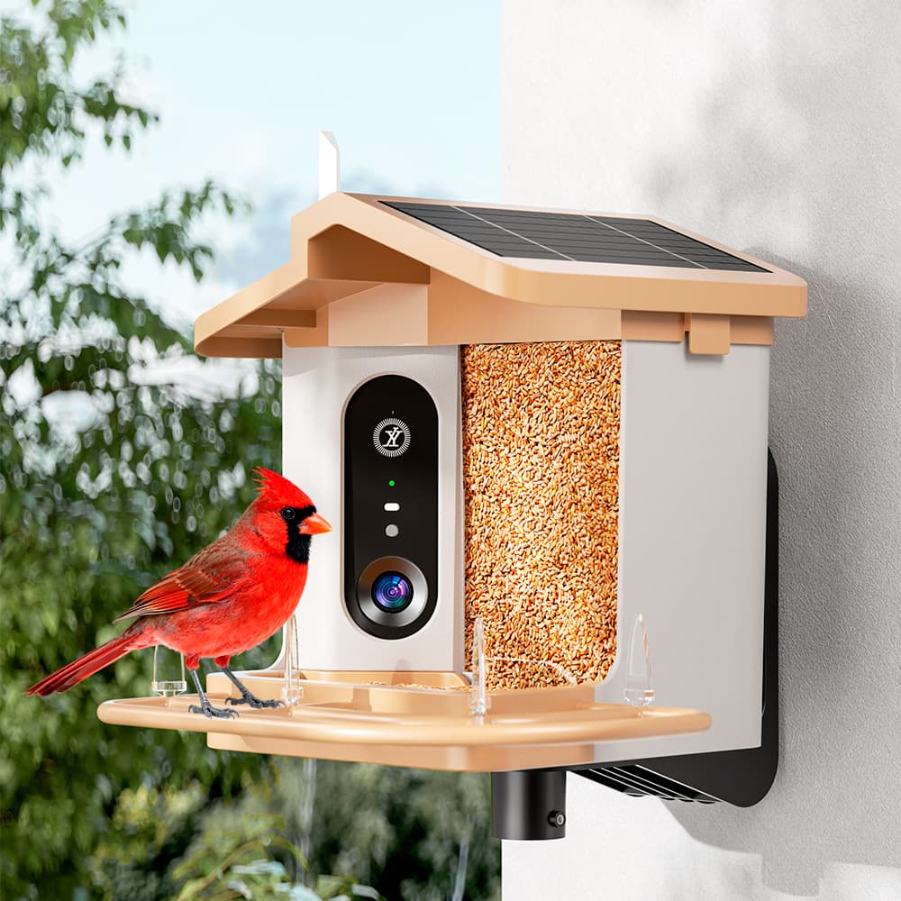 New smart bird feeder camera 2K-4K ultra-clear AI bird recognition outdoor solar pet feeder 1