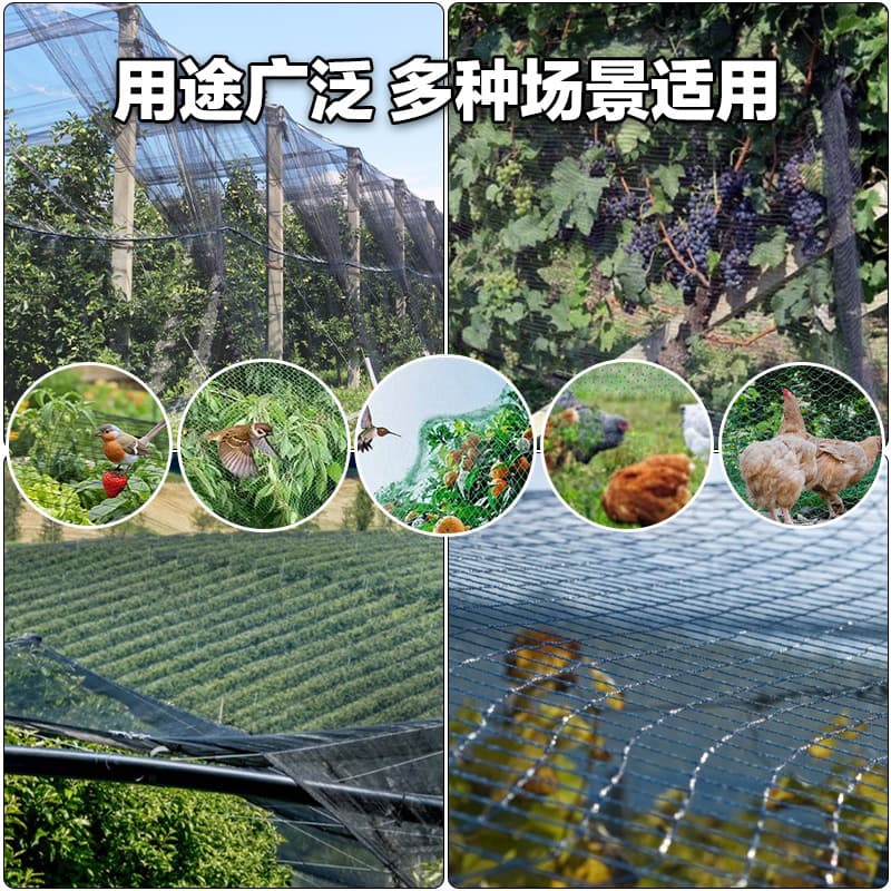 Pp anti-bird net garden orchard anti-bird net polypropylene outdoor green planting grape tree cherry tree protective net anti-bird net 3