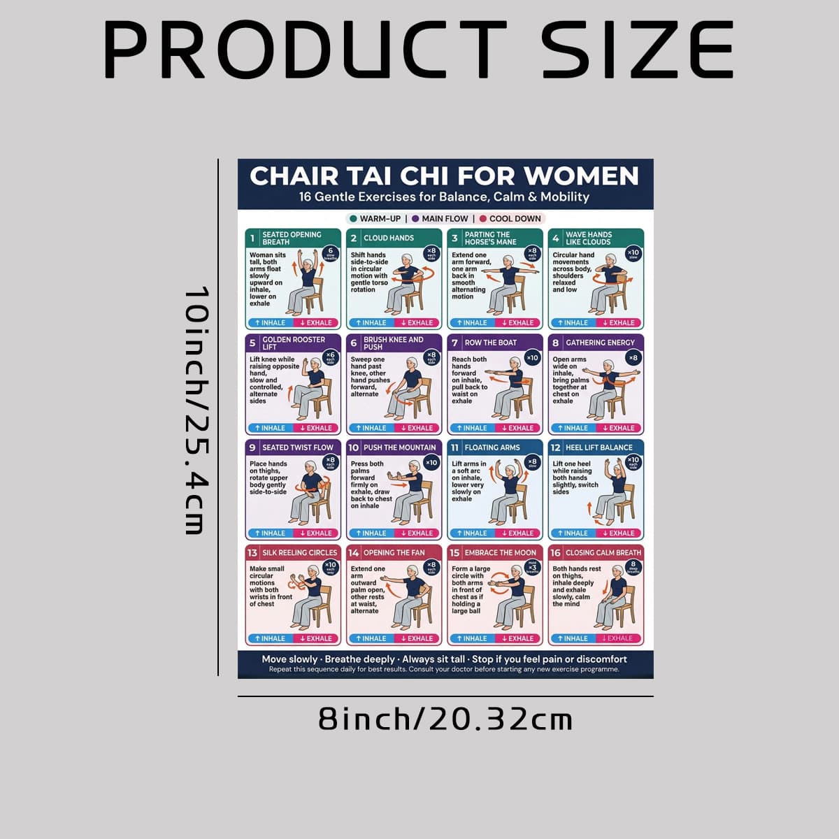 Tai Chi Chair Sitting Exercise Poster for Seniors YG-260 2