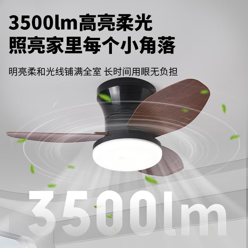 Nordic restaurant fan light 2024 new ceiling fan light bedroom fan children's room frequency conversion ceiling fan small apartment fan light 3