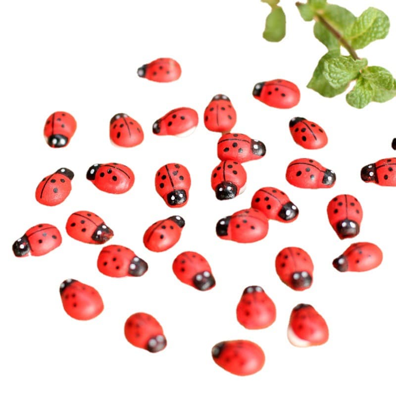 Micro -landscape ornament accessories, succulent ornament jewelry, wooden crafts, beetle, seven -star ladybugs and ladybugs 5