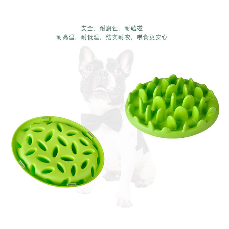 Cat Slown Bowl Dog Pelvic Jungle Fun Cat Fedrior Federation Pet Pet Bowl wholesale Dorgs Pet Products 3