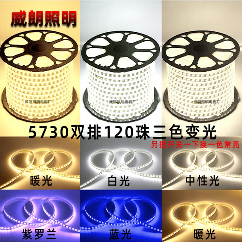 5050rgb2835 neon waterproof high voltage 220v flexible soft silicone led light strip wholesale outdoor 5730 light strip 2
