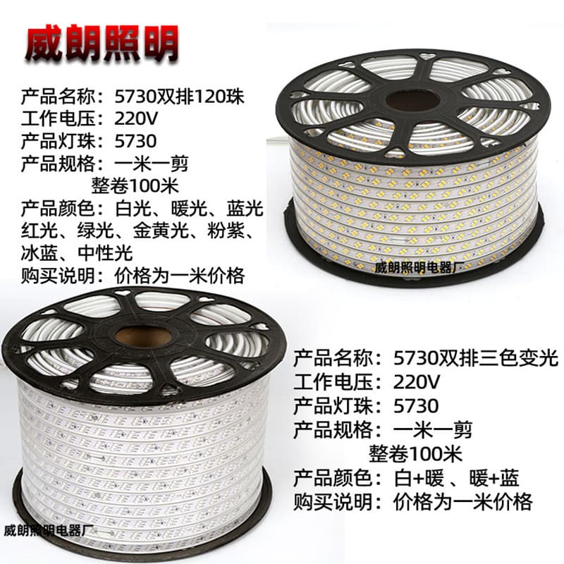 5050rgb2835 neon waterproof high voltage 220v flexible soft silicone led light strip wholesale outdoor 5730 light strip 4