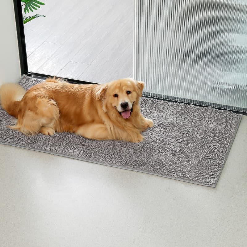 (Cross-border trading), carpet for living room, non-slip doormat, water absorbent