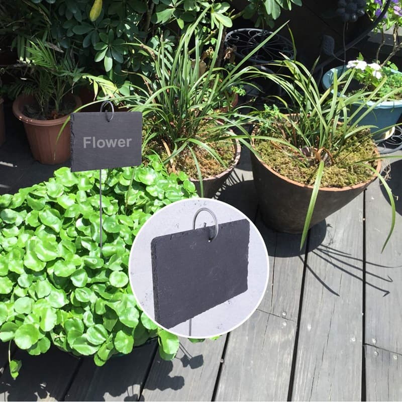 Manufacturer supply gardening and flower label plant tag fruit tree tags stainless steel pendant label flower card 2