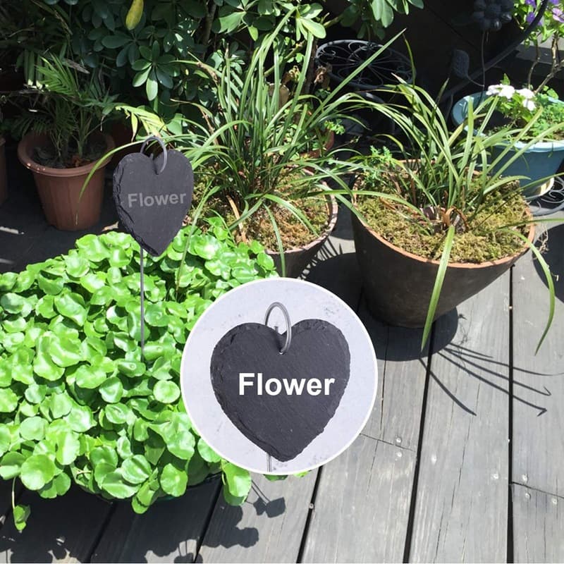 Manufacturer supply gardening and flower label plant tag fruit tree tags stainless steel pendant label flower card 3