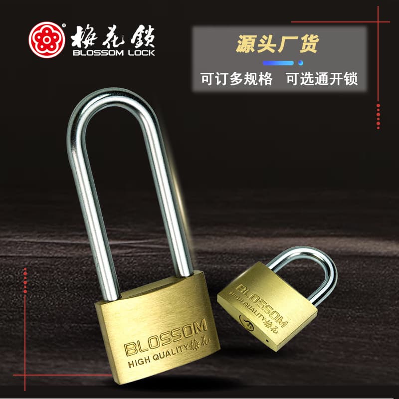 Plum Blossom Thin Copper Hanging Lock with Extended Beam 2