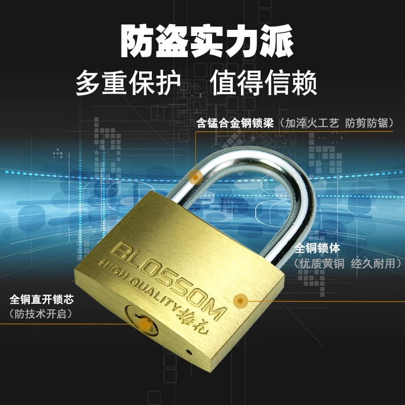 Plum Blossom Thin Copper Hanging Lock with Extended Beam 3