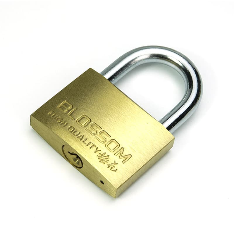 Plum Blossom Thin Copper Hanging Lock with Extended Beam 5
