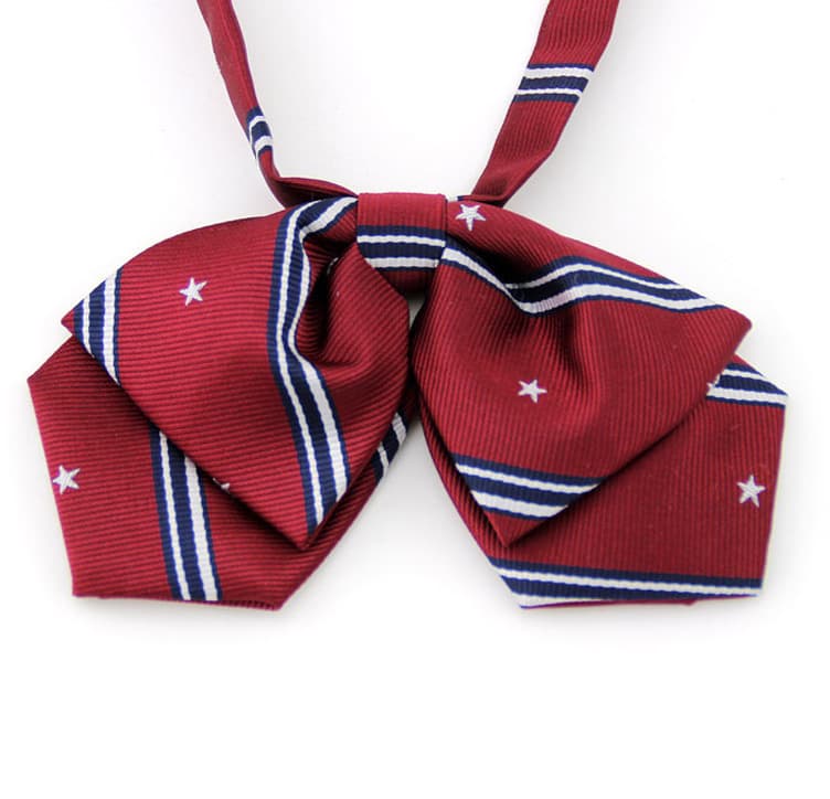 Student pleated skirt, Japanese bow tie 2