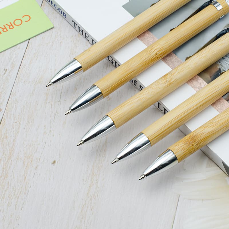 Ecological ballpoint pen, gift pen, (Physicals), with your logo imprint 2