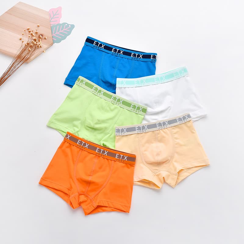(Wholesale), children's underwear for boys, pants, trousers, for teenagers 4