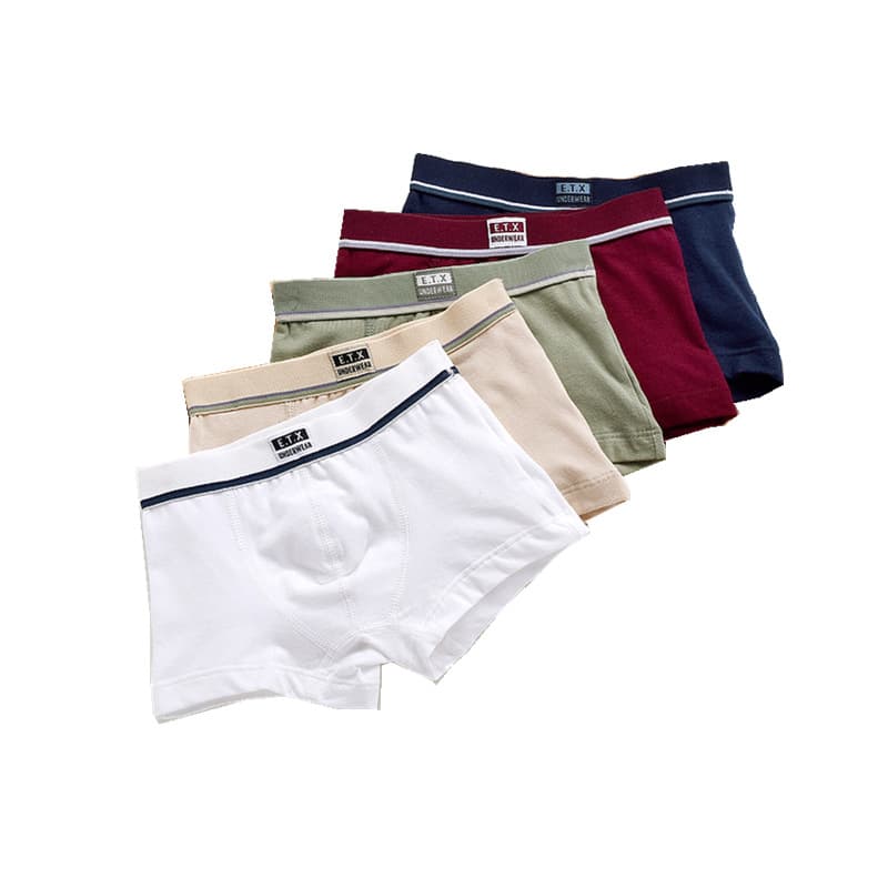 (Wholesale), children's underwear for boys, pants, trousers, for teenagers 5