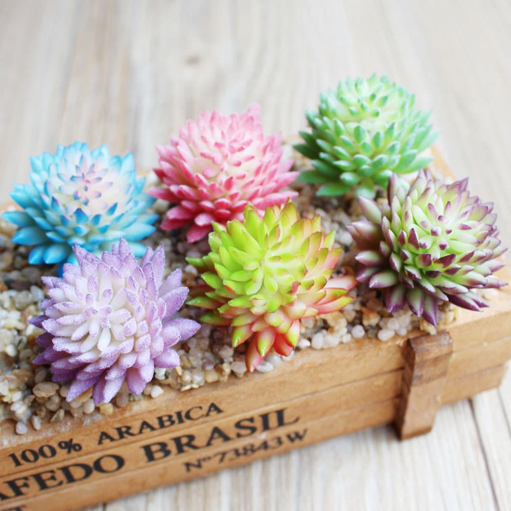 Simulated Chihuahua lotus succulent creative DIY supplies plant wall accessories manufacturer directly supplies artificial green plants Shangmiao fake flowers