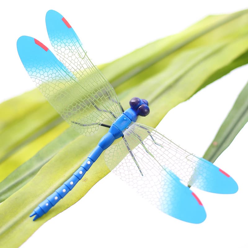 Three dimensional magnetic creative fridge magnet, pin, realistic cloth, in 3d format, dragonfly, home decor 3