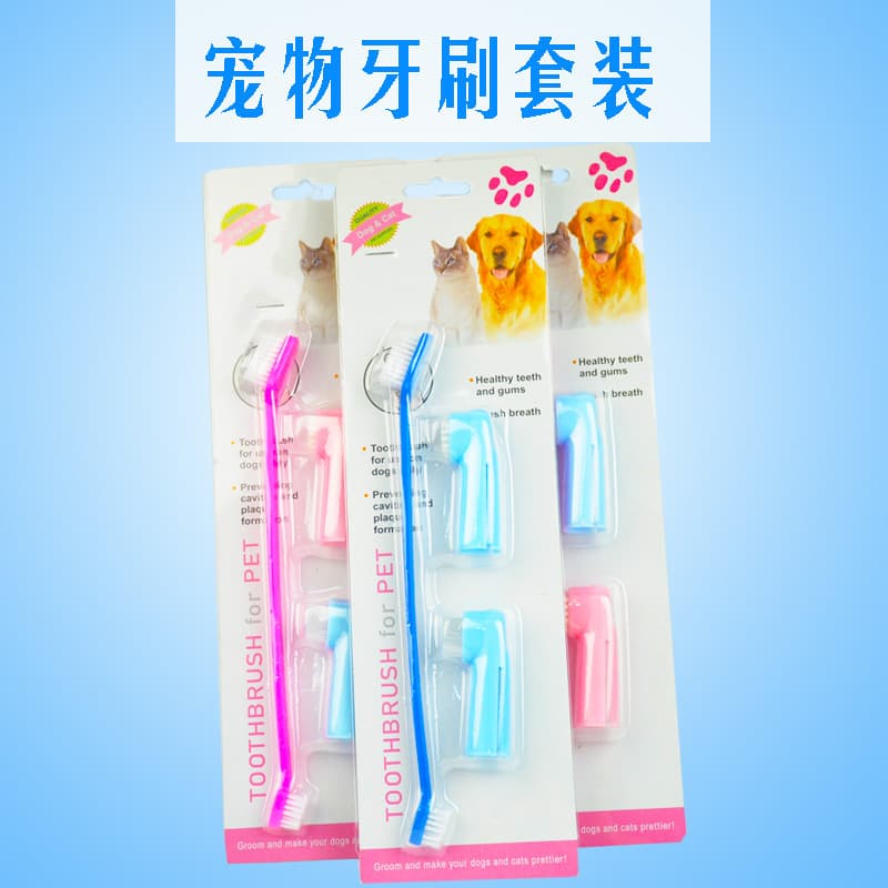 Hygienic double-sided toothbrush set