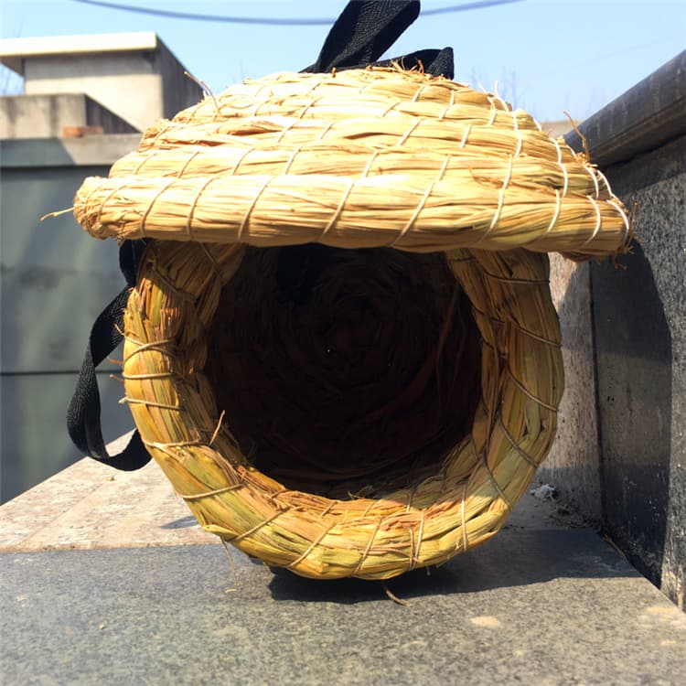 Bird's Nest Cao Ni Tiger Pippeed Parrot Peony Parrot Gray Bird Hibiscus Bird Bird Pearl Bird Bird Nest