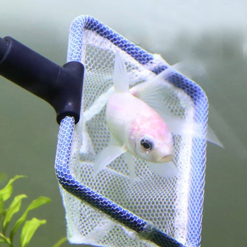 Aquarium, hygienic brush, set 4