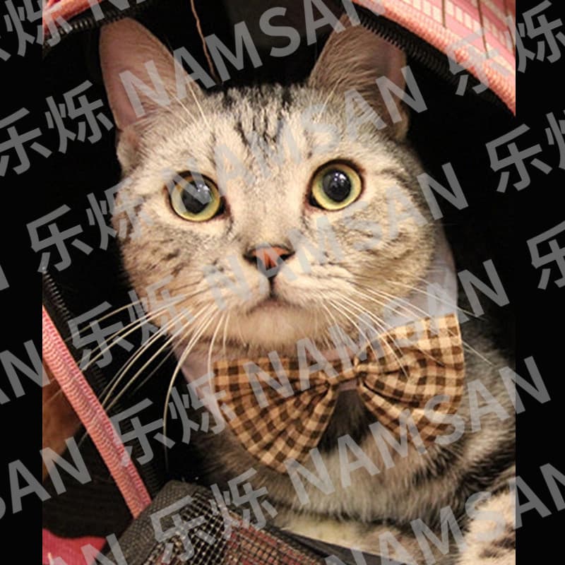 (Wholesale), universal bow tie, accessory with bow, Amazon 2