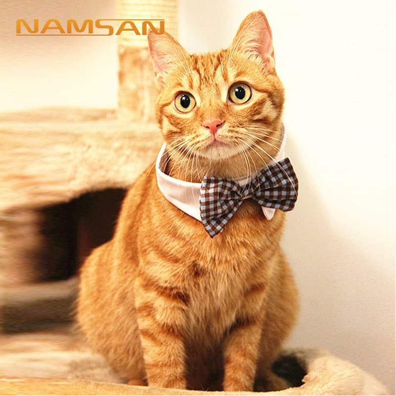 (Wholesale), universal bow tie, accessory with bow, Amazon 1