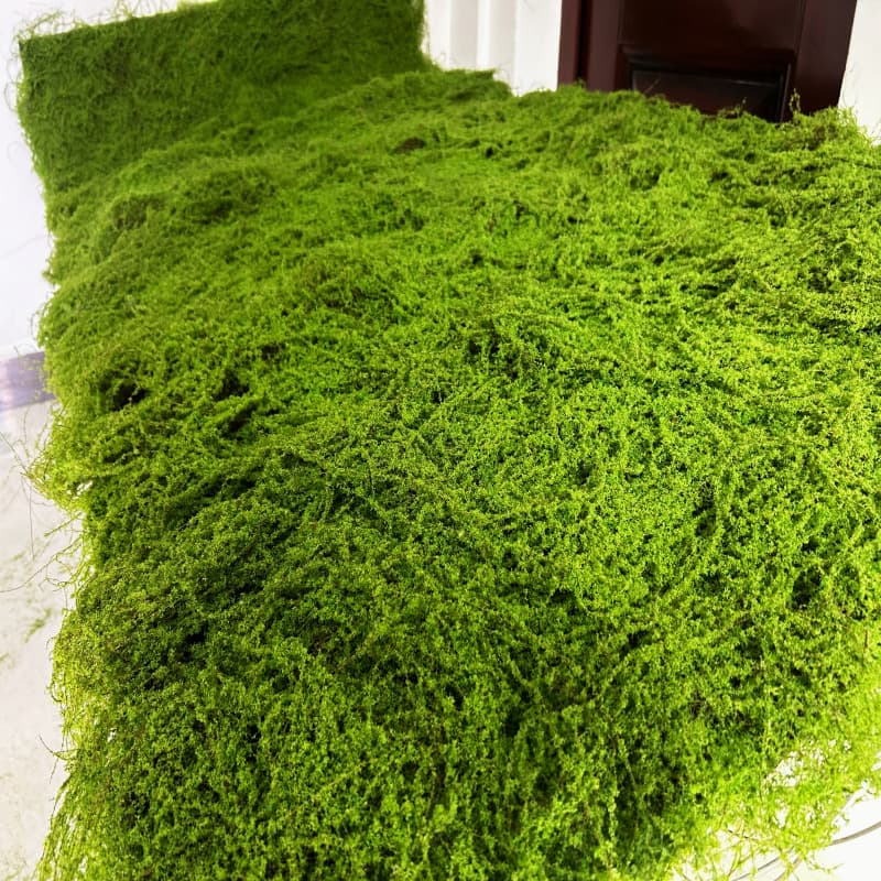 Artificial Moss Cao Puppet Gaogan Drum Bud Plant Moss Wedding Wall Wall Botanical Wall Garden Micro Landscape Soft Design 2