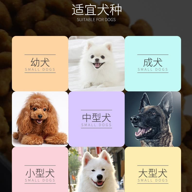 Universal beef dog grain Teddy Golden Retriever Barline Small Small Bachelor Puzzle 2.5kg Dale wholesale wheat coffee 3