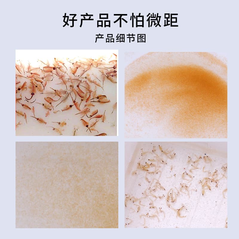 Premium Frozen Fish Feed - Mixed Species Food Pellets 2