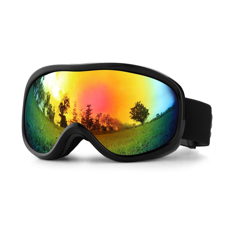 (Cross-border trading), ski double-layer glasses anti-fog, professional transparent breathable windproof equipment 5